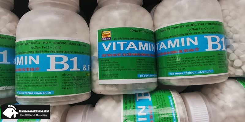cách dùng vitamin b1 cho gà